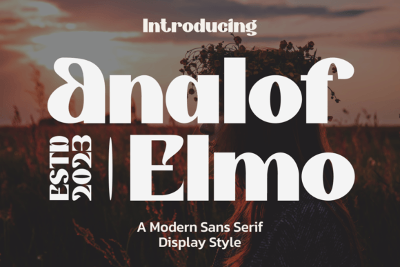 Analof Elmo: A Modern Display Font That Elevates Digital Branding